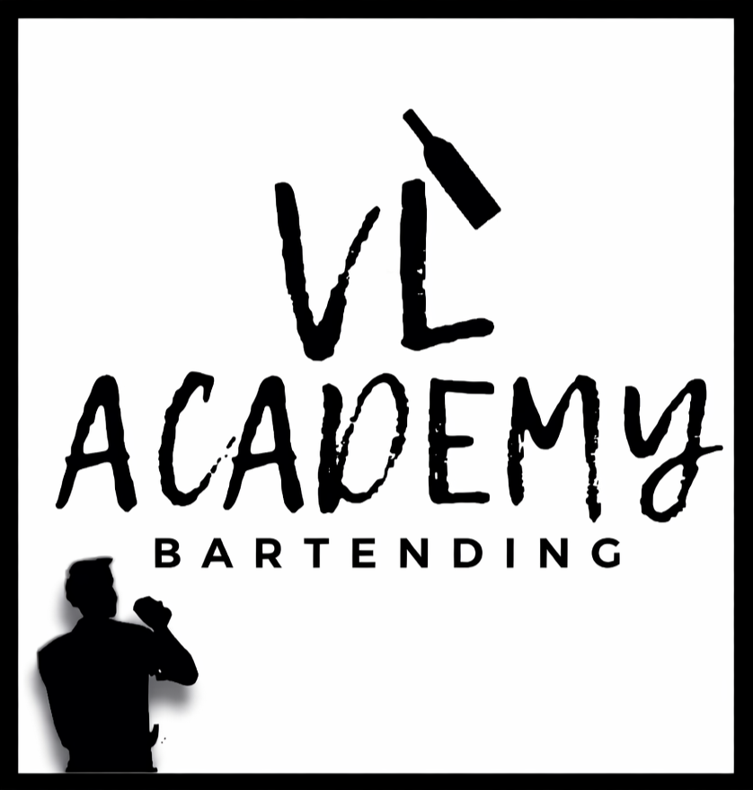 Logo VL Academy